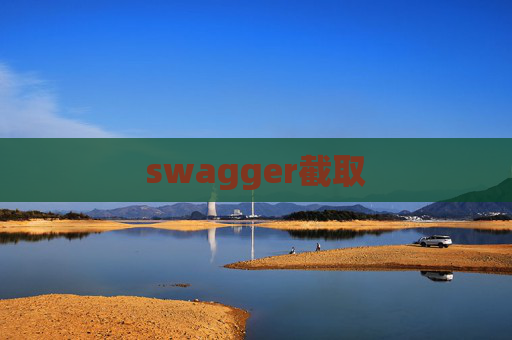 swagger截取
